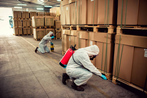 Best Wildlife Control Services  in Dland, MI