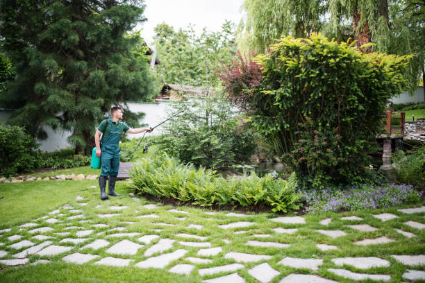 Best Local Pest Control Services  in Dland, MI