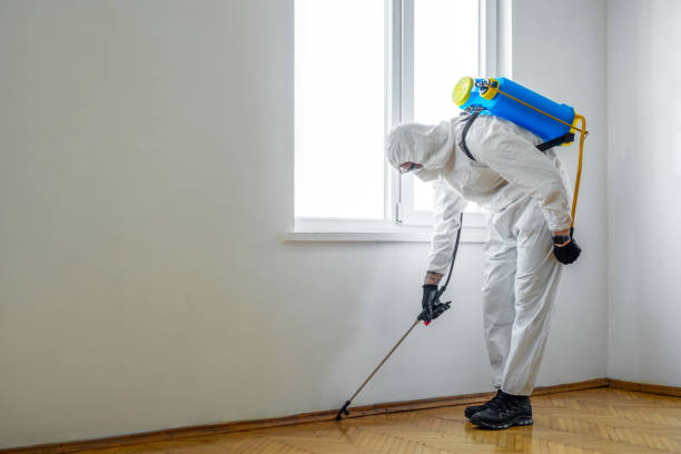 Best Pest Prevention Services  in Dland, MI