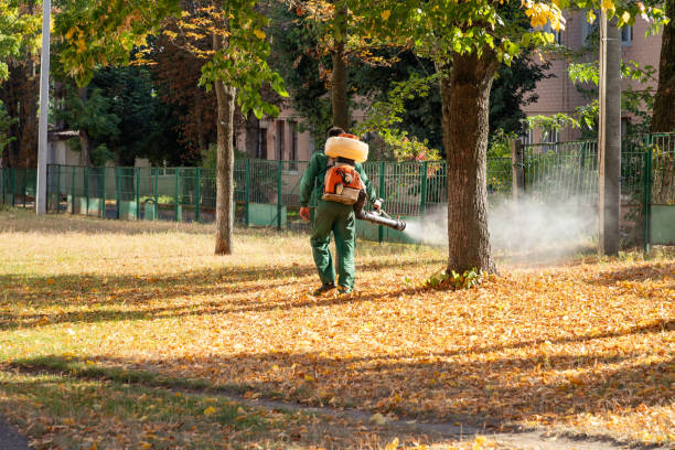 Best Residential Pest Control  in Dland, MI