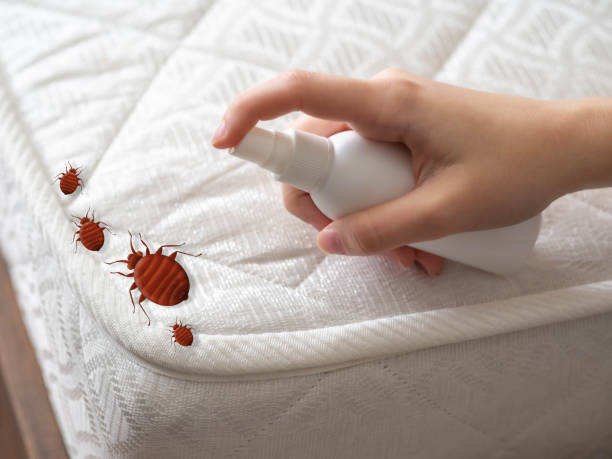 Best Best Pest Control Companies  in Dland, MI