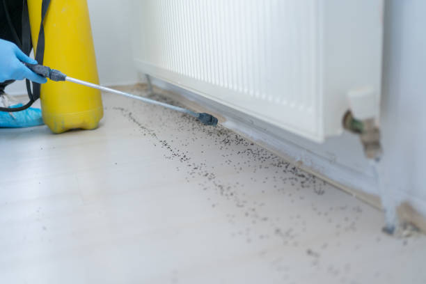 Best Exterminator Services  in Dland, MI