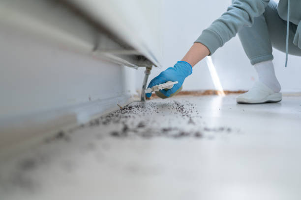 Pest Prevention Services in Midland, MI