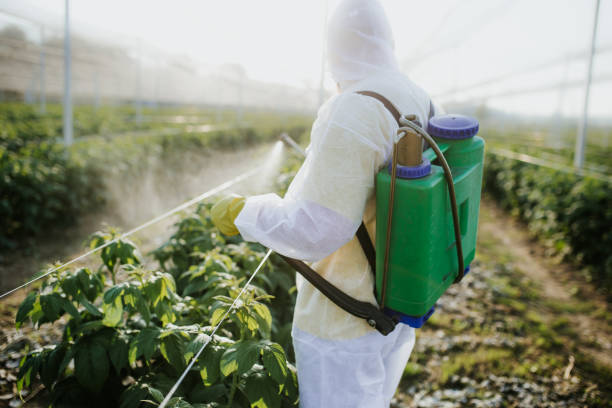 Best Pest Inspection Near Me  in Dland, MI